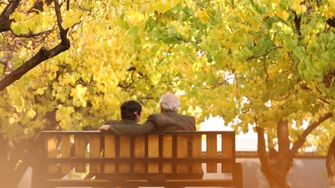 An old couple  are seating 1 Stock-Footage 325852401