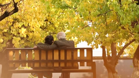 An old couple  are seating 3 Stock-Footage 325852473