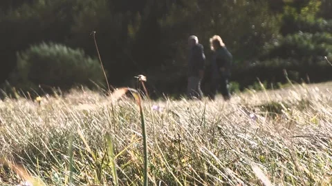 OLD COUPLE DEFOCUSED IN THE FIELD Stock Footage 96384287
