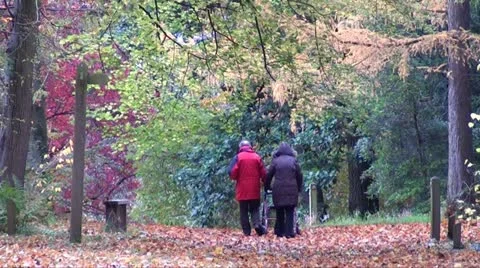 Old couple disabled lady Stock Footage 20633611