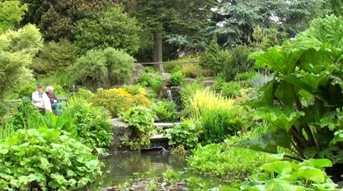 OLD COUPLE IN GARDEN Stock Footage 11144802