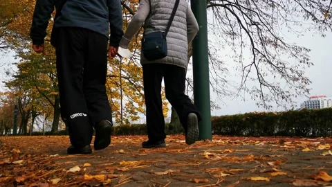 Old couple in park Stock Footage 142563182