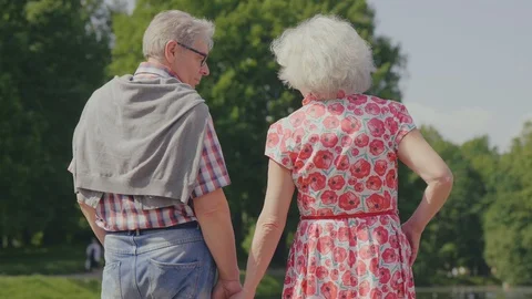 Old couple walking in the park Stock Footage 114127416