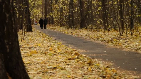 An old couple walking on a path full of fallen leaves in a park - HD 1920X1080 Stock Footage 886011
