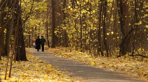 An old couple walking on a path full of fallen leaves in a park - HD 1920X1080 Stock Footage 886048