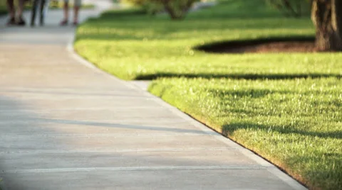 An old couple walking their bikes on the sidewalk together. Stock Footage 33863576