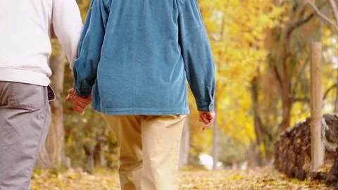 Old couple walks down fall lane 스톡 동영상 80126197
