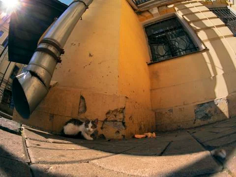 Old courtyards Stock Photos