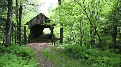 Old covered bridge in the woods Stock Footage 24463829