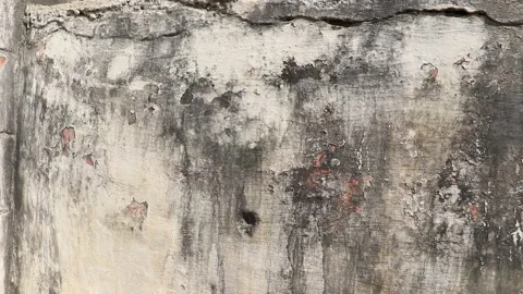 Old crack wall. Stock Footage 169690676
