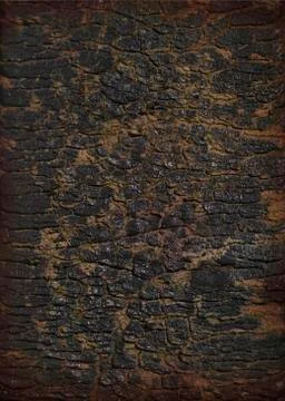 Old cracked bark texture. Stock Photos