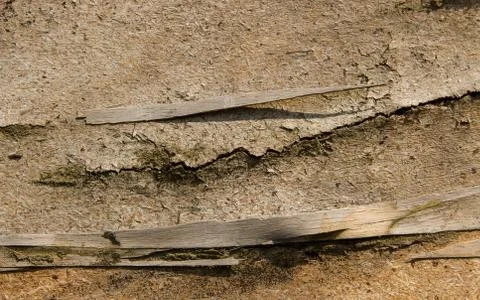 An old cracked board. Stock Photos
