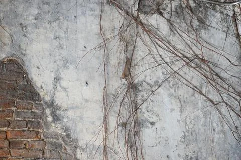 Old Cracked Concreate Wall Stock Photos