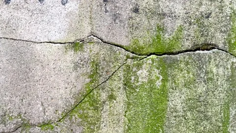 Old Cracked Concrete Wall Texture Moss Green Grunge Background Rough Cement.. Stock Footage 332155208