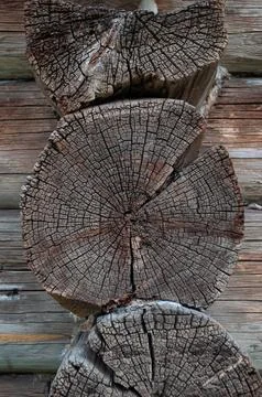 Old cracked log end Stock Photos