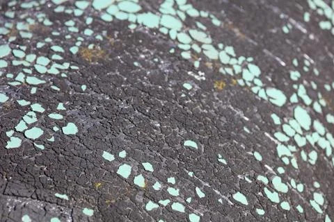 Old cracked paint abstract macro background high quality modern Stock Photos