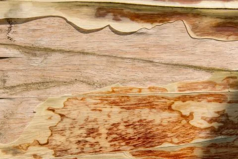 Old cracked varnish Stock Photos