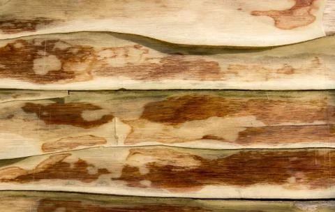 Old cracked varnish Stock Photos