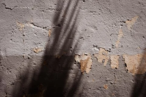 Old cracked wall with flaking paint and natural leaf shadow pattern Stock Photos