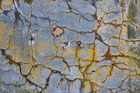 Old cracking cement wall with patches of orange lichen Stock Photos