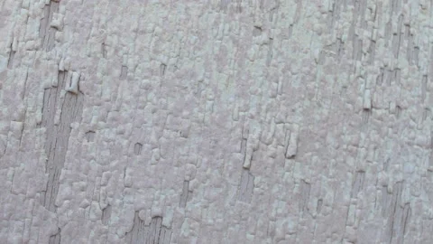 Old cracking paint on wooden panel Stock Footage 140550686