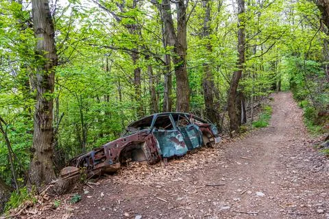 Old crate on a trail Stock Photos