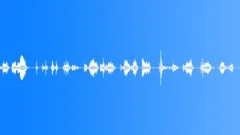 Old Creaking Floor (Flat, Wooden, Footstep)Sound Effect