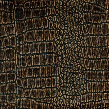 Old crocodile leather Stock Photos