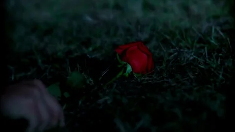 Old Cross shaped Grave stone cemetery Stone crosses on grave in a cemetery a Stock Footage 334646269