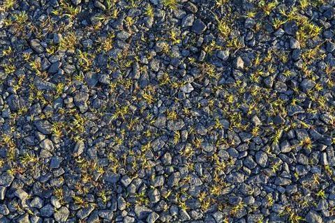 Old crumbled asphalt pattern, grass breaks through the asphalt. Stock Photos