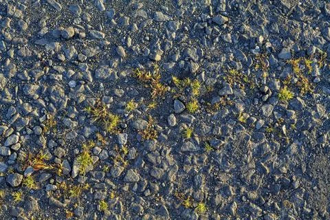 Old crumbled asphalt pattern, grass breaks through the asphalt. Stock Photos