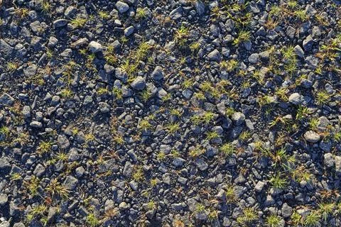 Old crumbled asphalt pattern, grass breaks through the asphalt. Stock Photos