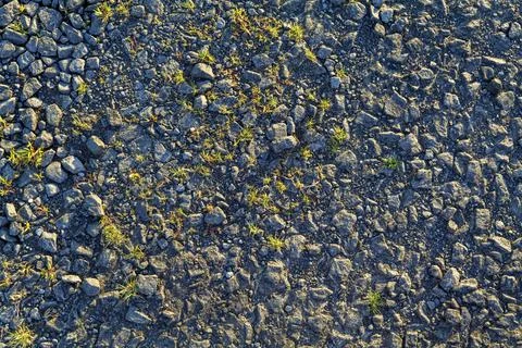Old crumbled asphalt pattern, grass breaks through the asphalt. Stock Photos