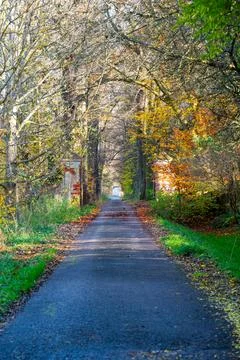 An old, crumbling brick wall with a leafless tree alley in autumn. The bare.. Stock-Fotos