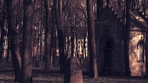 Old crypt in cemetery Stock Footage 75105011