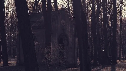 Old crypt in cemetery Stock Footage 75106236