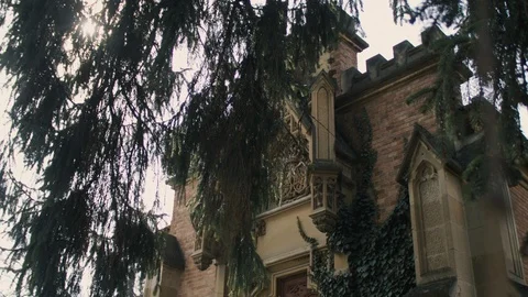 Old crypt with grace in gothic cemetery Video stock 105066509