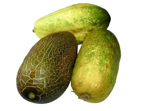 Old cucumbers Stock Photos