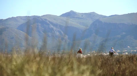 Old  Cuple walking on the beach Stock Footage 35188071