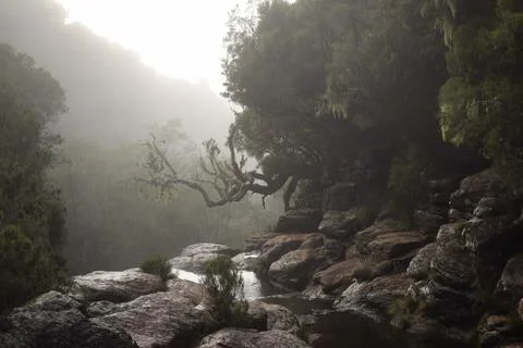 Old curiosity Foto stock