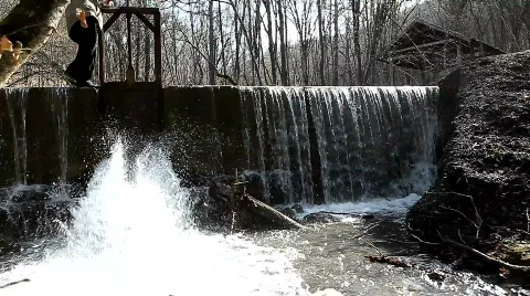 Old dam on the river in the woods Stock Footage 650600