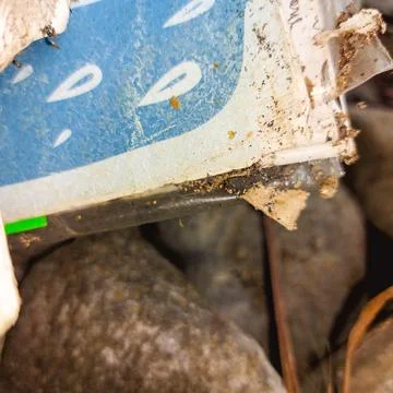 Old damaged book infested by booklice and termites Stock Photos
