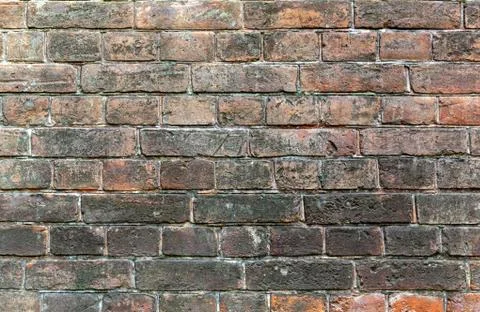 Old damaged brick wall. Stock Photos