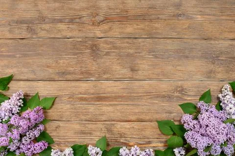 Old dark rustic wooden background with lilac flowers. Copy space Stock Photos