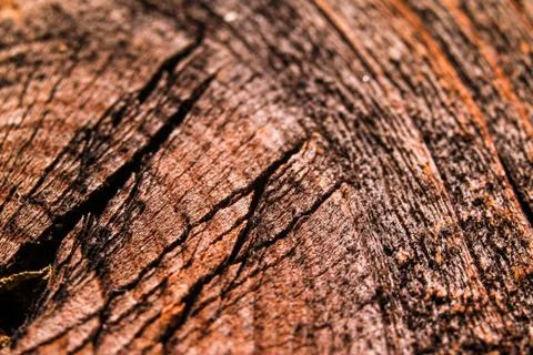 Old dark wood texture background Stock Photos