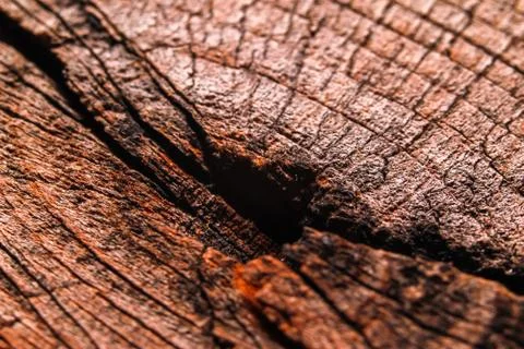 Old dark wood texture background Stock Photos