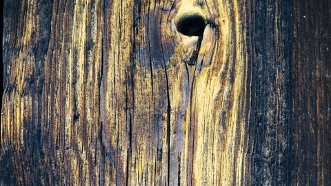 Old darkened by time tree. Stylish background design Stock Footage 105886426