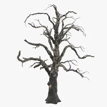 Old Dead Tree 03 3D Model