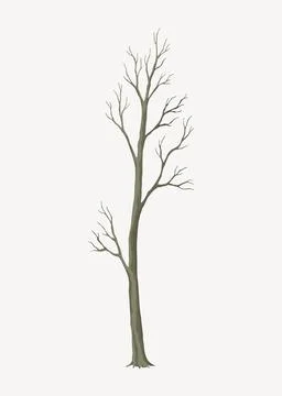 Old dead tree. Hand draw leafless trunk. Winter or autumn season plants icon Stock Illustration