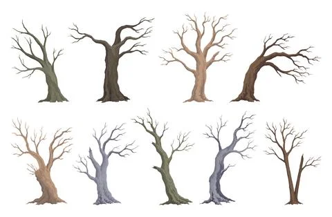 Old dead tree set. Hand draw leafless trunks. Winter or autumn season plants Illustrazione stock